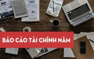 Báo cáo tài chính năm 2023